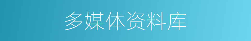 多媒体资料库的同义词