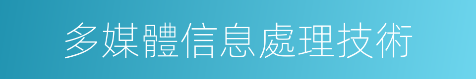 多媒體信息處理技術的同義詞