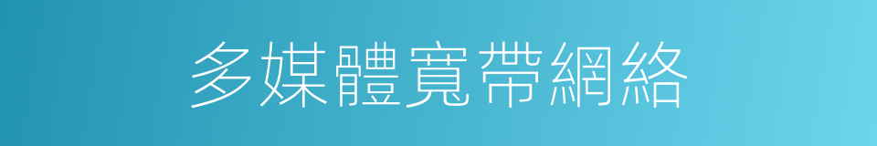 多媒體寬帶網絡的同義詞