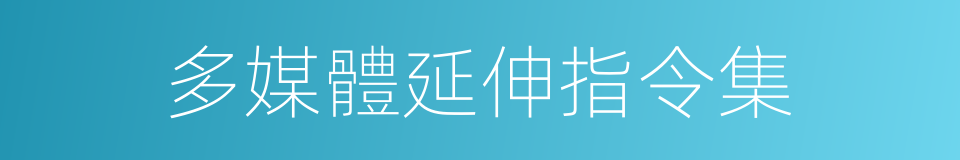 多媒體延伸指令集的同義詞