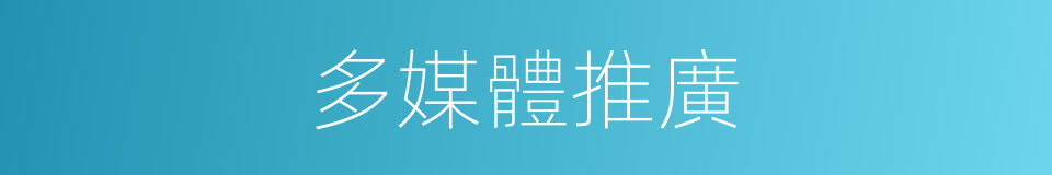 多媒體推廣的同義詞