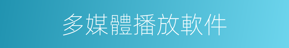 多媒體播放軟件的同義詞