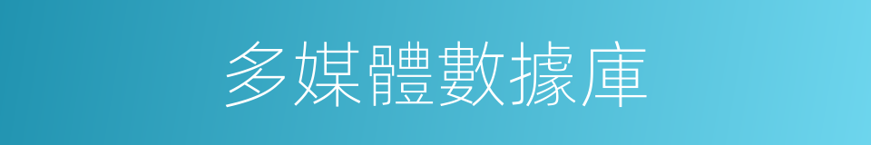多媒體數據庫的同義詞