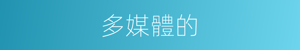 多媒體的的同義詞