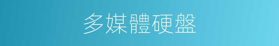 多媒體硬盤的同義詞