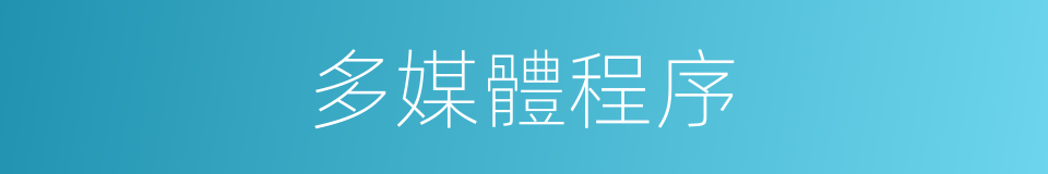 多媒體程序的同義詞