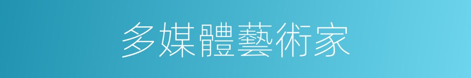 多媒體藝術家的同義詞