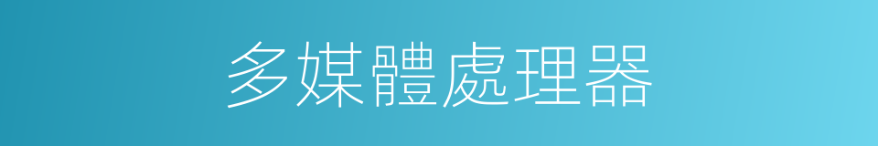 多媒體處理器的同義詞