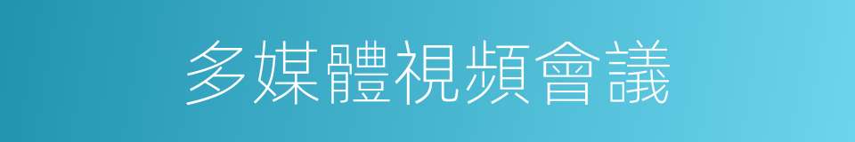 多媒體視頻會議的同義詞