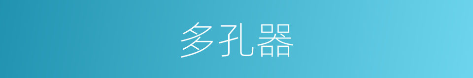 多孔器的同义词