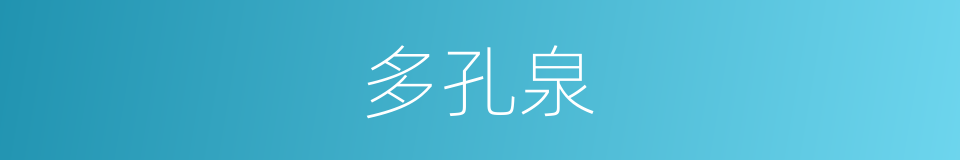 多孔泉的同义词
