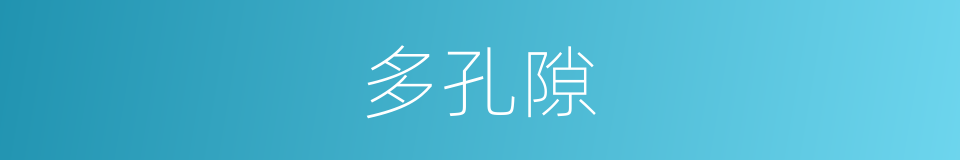 多孔隙的同义词