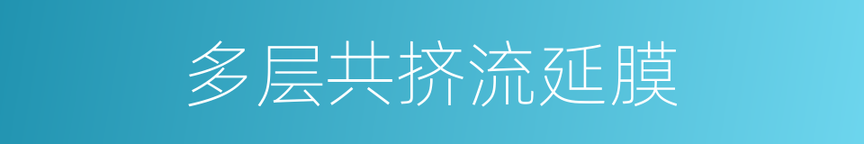 多层共挤流延膜的同义词