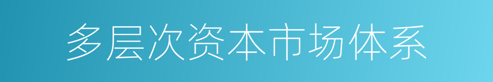 多层次资本市场体系的同义词