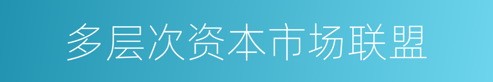 多层次资本市场联盟的同义词