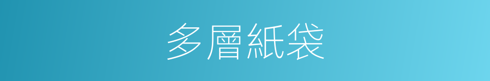 多層紙袋的同義詞