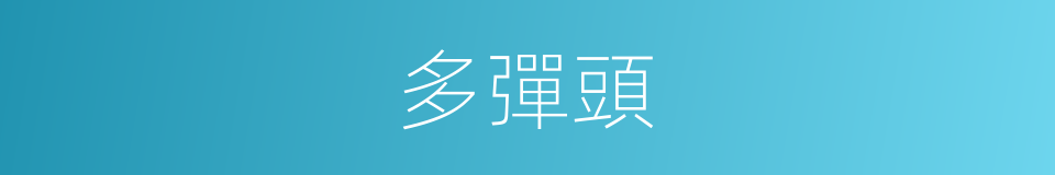 多彈頭的意思