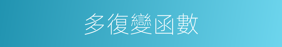 多復變函數的同義詞