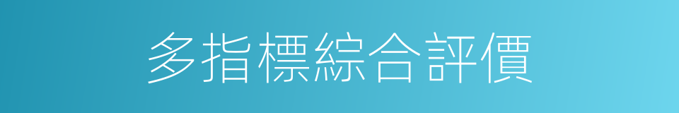 多指標綜合評價的同義詞