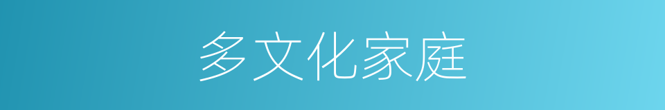 多文化家庭的同义词