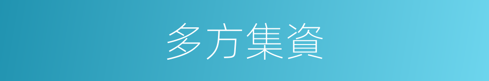 多方集資的同義詞
