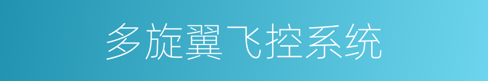 多旋翼飞控系统的同义词