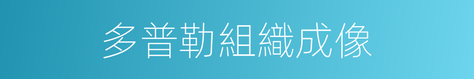 多普勒組織成像的同義詞