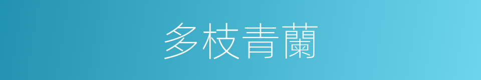 多枝青蘭的同義詞