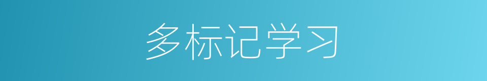 多标记学习的同义词