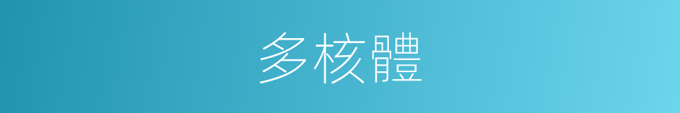 多核體的同義詞