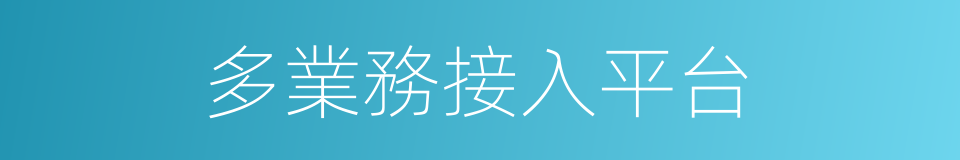 多業務接入平台的同義詞