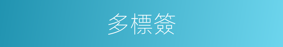 多標簽的同義詞