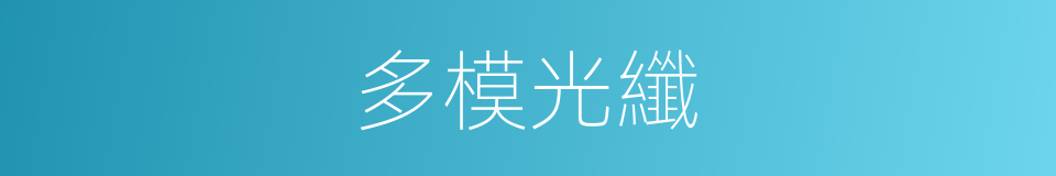 多模光纖的同義詞