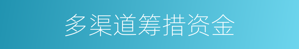 多渠道筹措资金的同义词