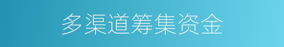 多渠道筹集资金的同义词