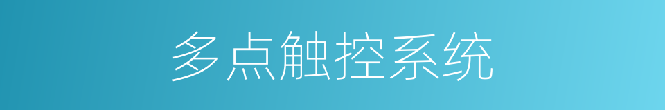 多点触控系统的同义词
