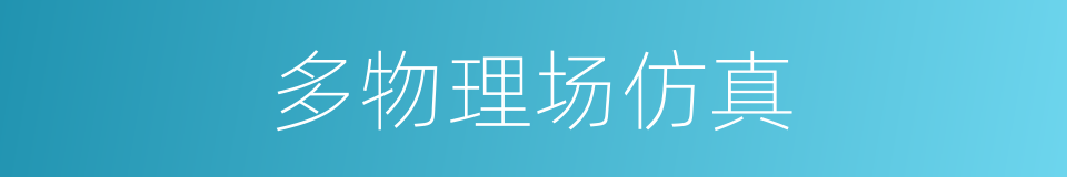 多物理场仿真的同义词