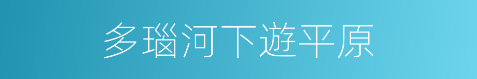 多瑙河下遊平原的同義詞