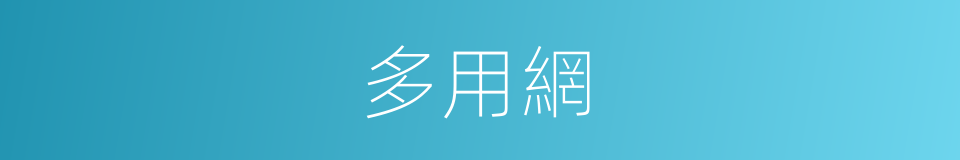 多用網的同義詞