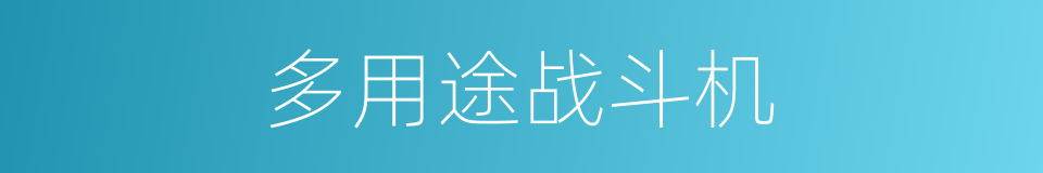 多用途战斗机的同义词