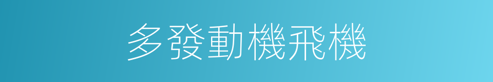 多發動機飛機的同義詞