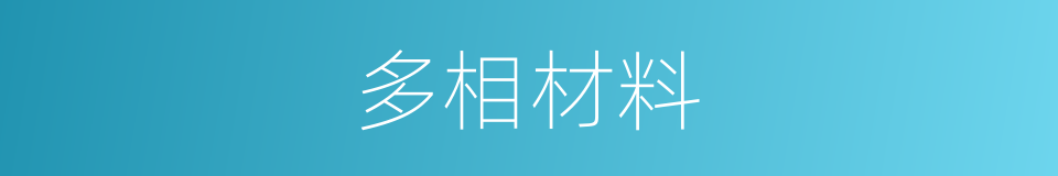 多相材料的同义词