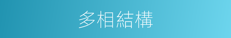 多相結構的同義詞