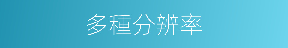 多種分辨率的同義詞