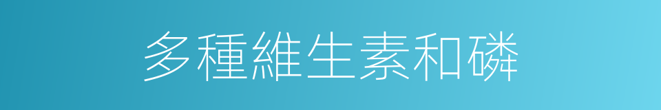 多種維生素和磷的同義詞
