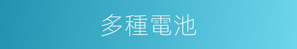 多種電池的同義詞