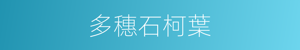 多穗石柯葉的同義詞