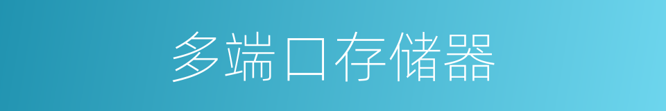 多端口存储器的同义词