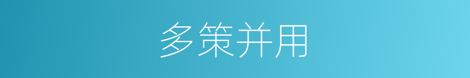 多策并用的同义词