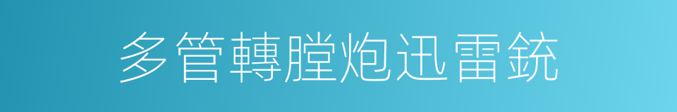 多管轉膛炮迅雷銃的同義詞